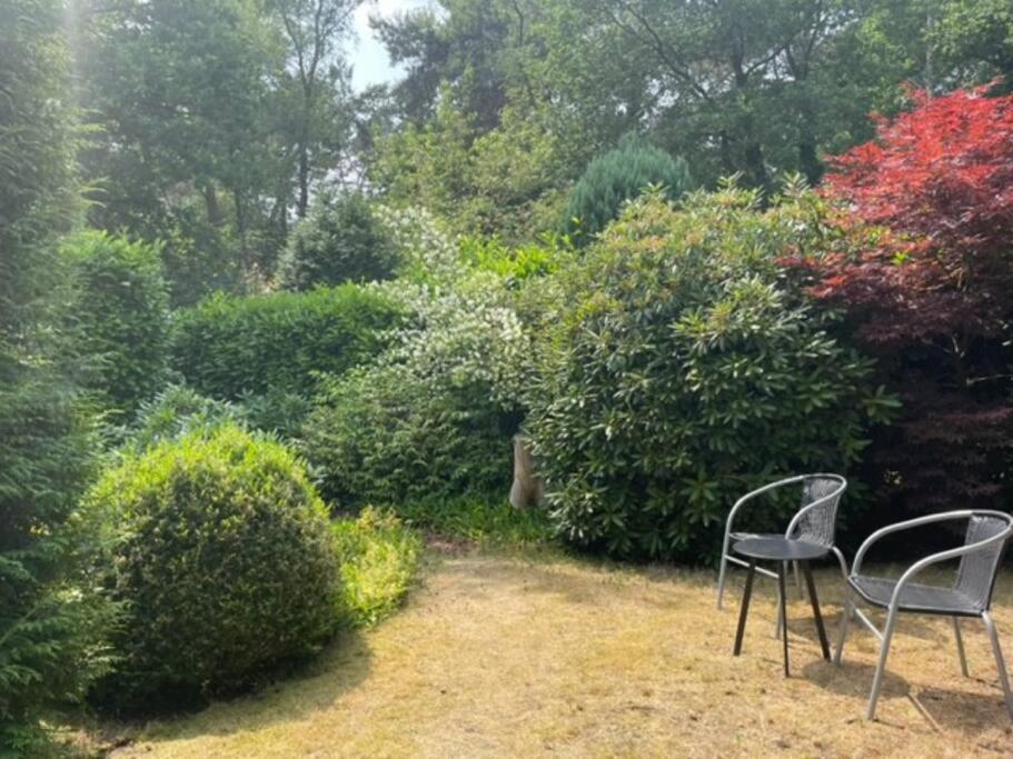 Ruime En Comfortabele Bungalow Aan Bosrand Lage Mierde Exterior foto